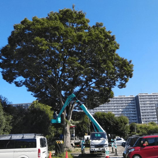 la00014452個別案件 (8)
