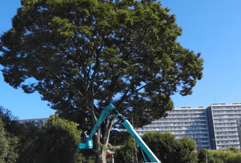 la00014452個別案件 (8)
