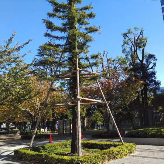 la00014452個別案件 (9)